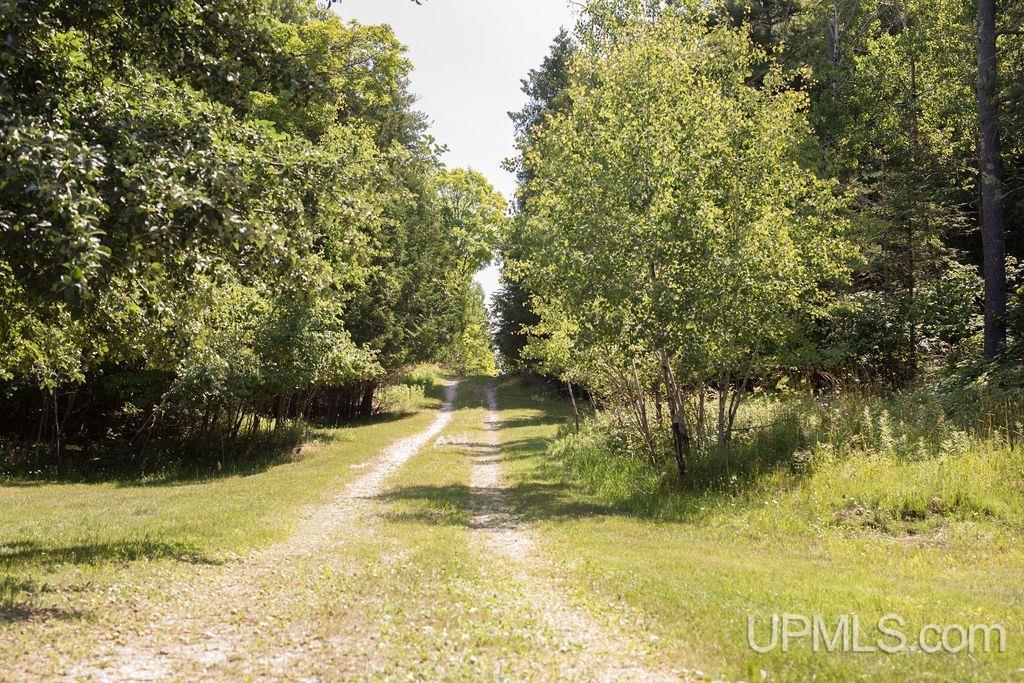 4311 II Road Garden, MI 49835 - Photo 75 of 92
