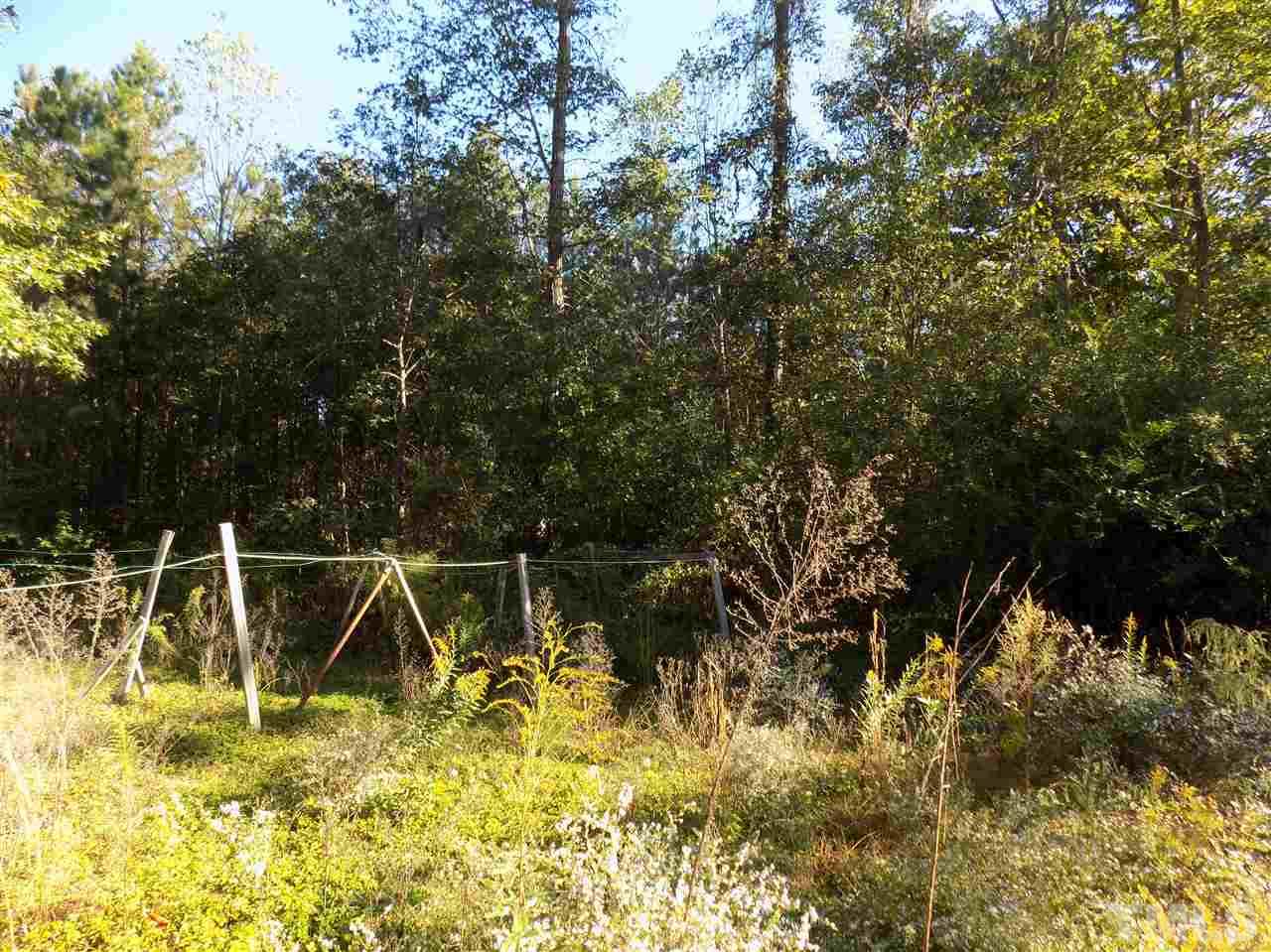 735 Vaiden Road Louisburg, NC 27549 - Photo 5 of 5 Gallery Image 5