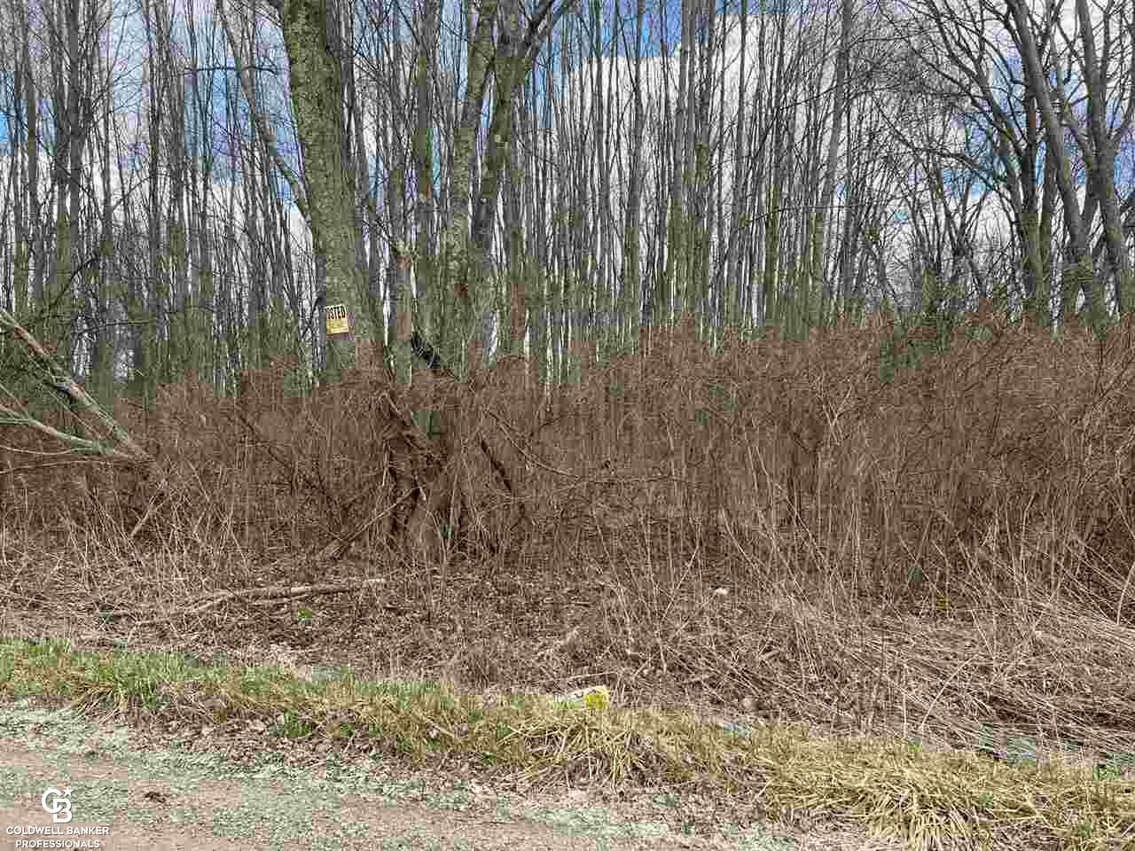 3 Gleason Road Emmett, MI 48022 - Photo 3 of 5