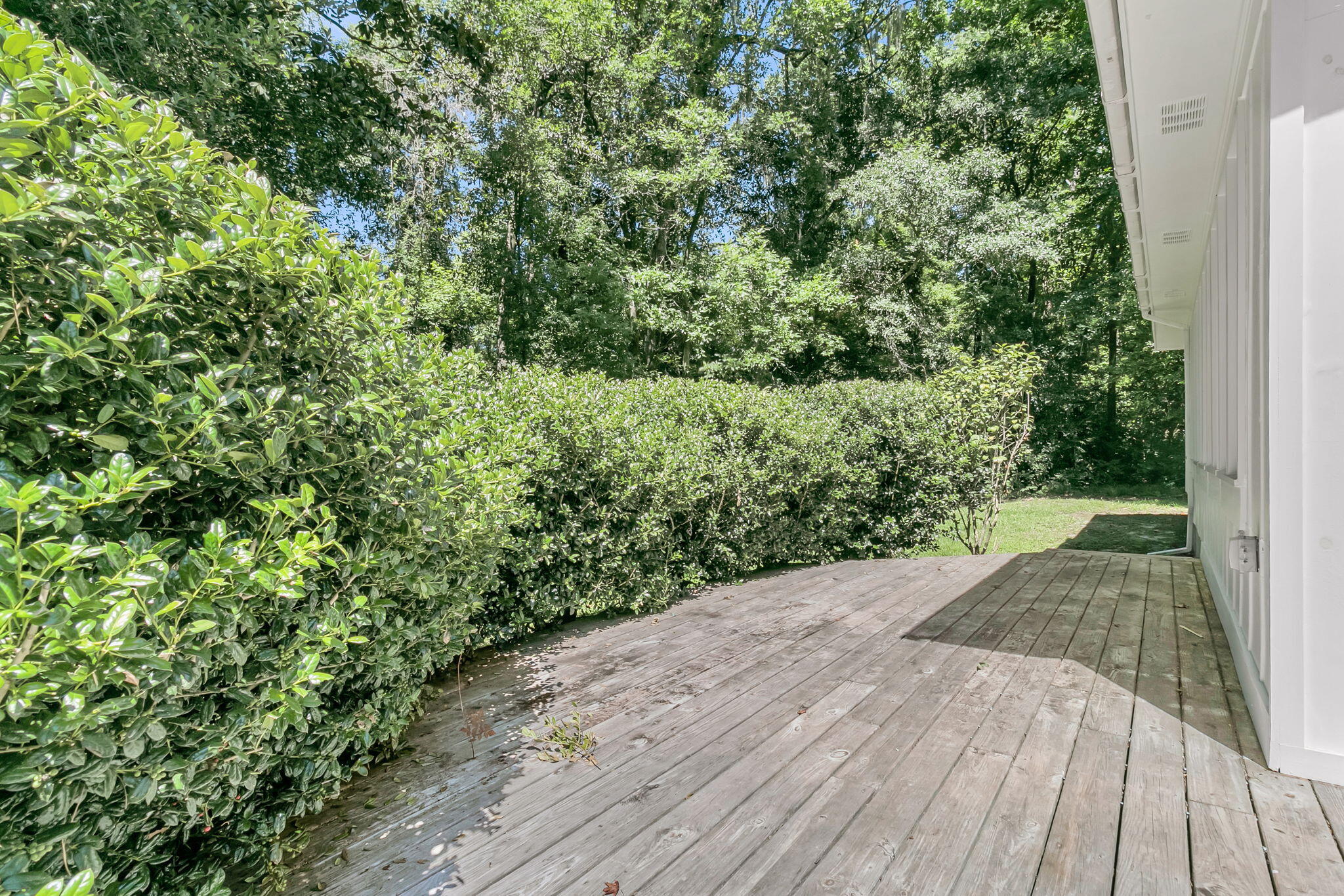 109 Halcyon Road Summerville, SC 29483 - Photo 41 of 45