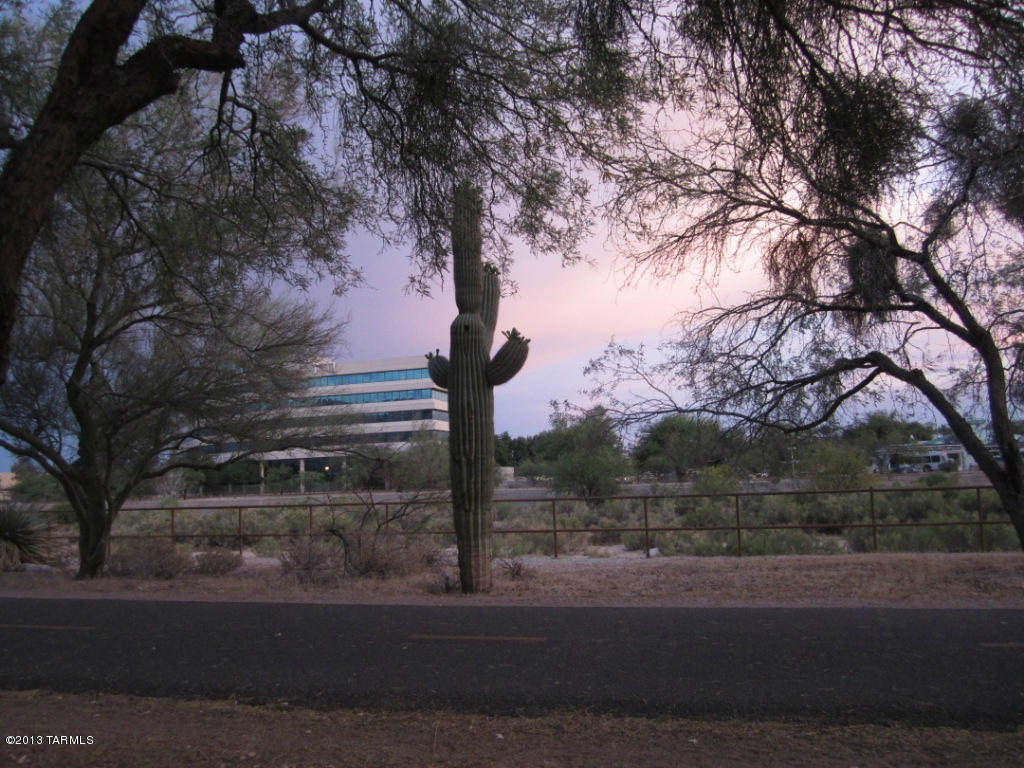 321 East Calderwood Road Tucson, AZ 85704 - Photo 23 of 31