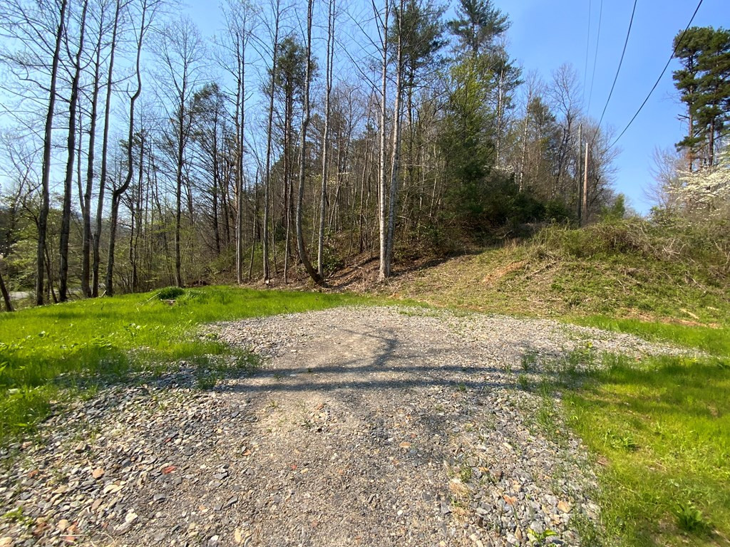 1000 Hyatt Creek Road Marble, NC 28905 - Photo 5 of 15