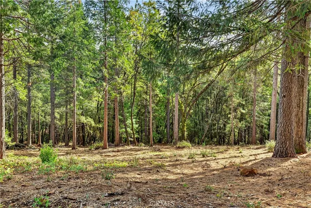 $125,000 | 0 Cedar-Creek Creek, Forest Ranch, CA 95942