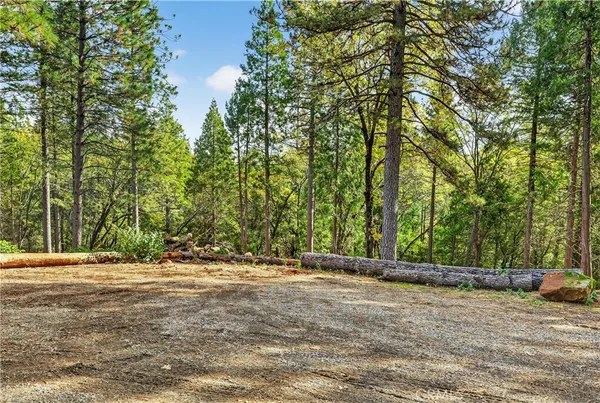 a view of outdoor space with trees