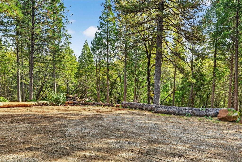 0 Cedar-Creek Creek Forest Ranch, CA 95942 - Photo 12 of 25 a view of outdoor space with trees