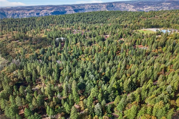 a view of a lush green forest with a house in the background