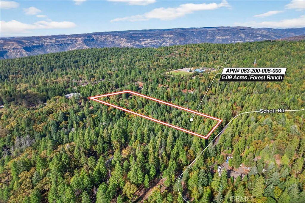 0 Cedar-Creek Creek Forest Ranch, CA 95942 - Photo 22 of 25 a view of a back yard from a garden