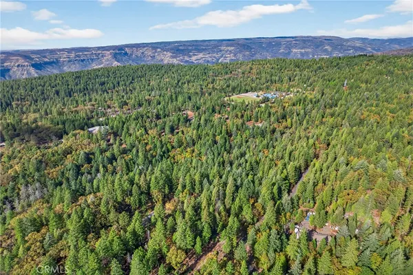 a view of a lush green forest with mountains in the background