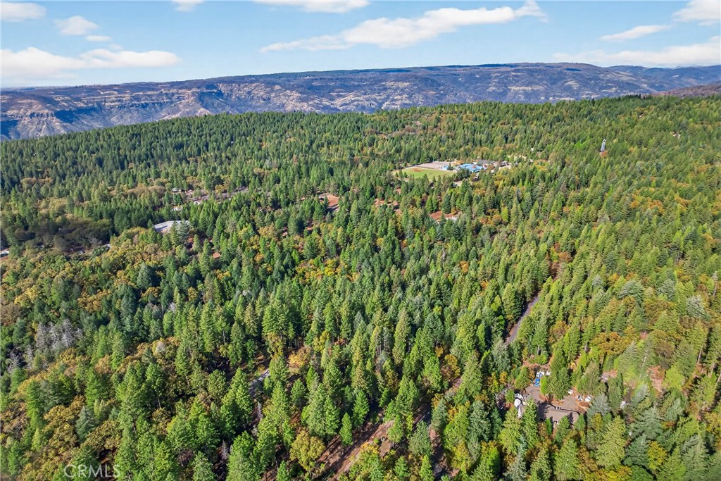 0 Cedar-Creek Creek Forest Ranch, CA 95942 - Photo 23 of 25 a view of a lush green forest with a house in the background
