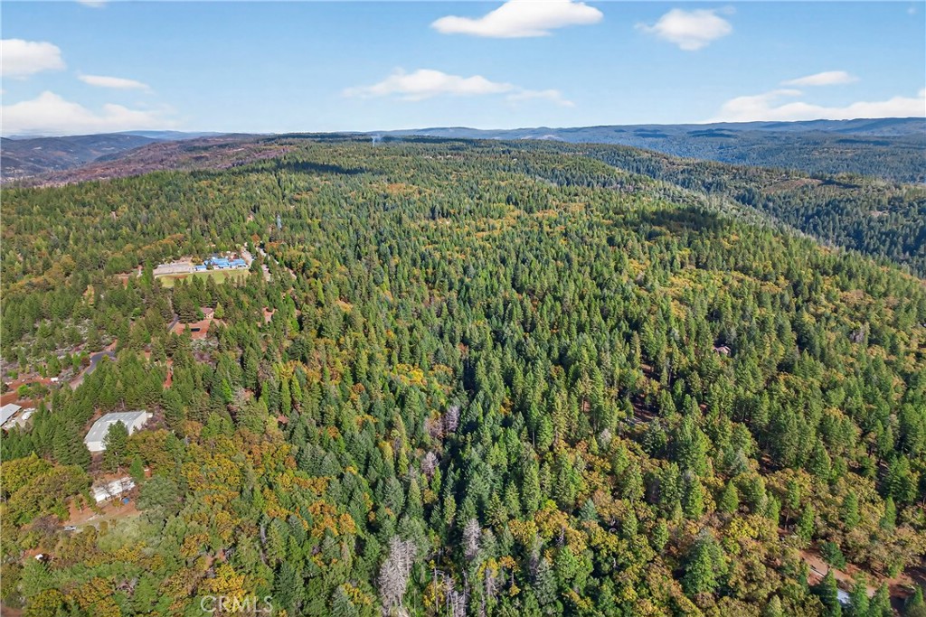 0 Cedar-Creek Creek Forest Ranch, CA 95942 - Photo 25 of 25 a view of a lush green forest with mountains in the background
