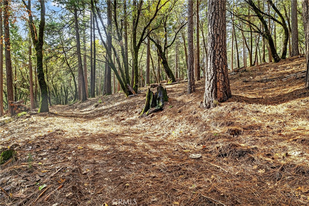 0 Cedar-Creek Creek Forest Ranch, CA 95942 - Photo 3 of 25 a view of a backyard with large trees