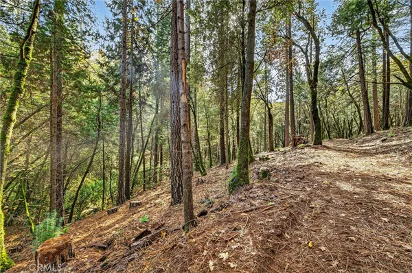 a view of backyard with green space