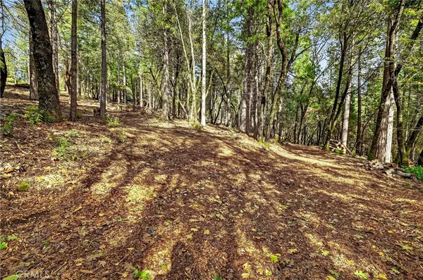 a view of outdoor space with trees