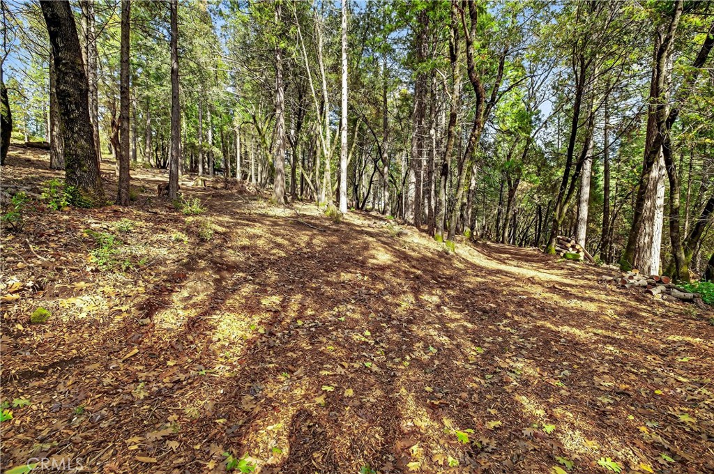 0 Cedar-Creek Creek Forest Ranch, CA 95942 - Photo 5 of 25 a view of outdoor space with trees