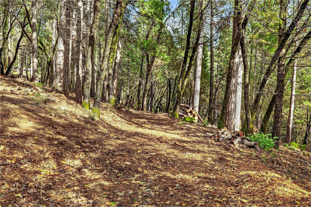 0 Cedar-Creek Creek Forest Ranch, CA 95942 - Photo 6 of 25 a view of a yard with large trees