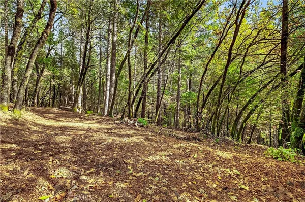 a view of outdoor space with trees