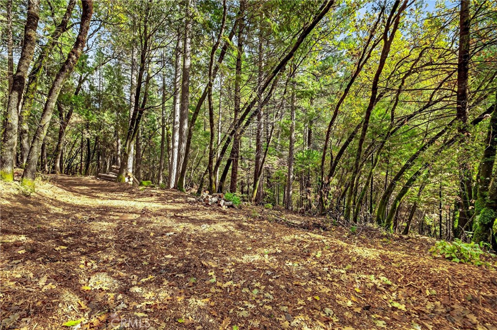 0 Cedar-Creek Creek Forest Ranch, CA 95942 - Photo 7 of 25 a view of outdoor space with trees