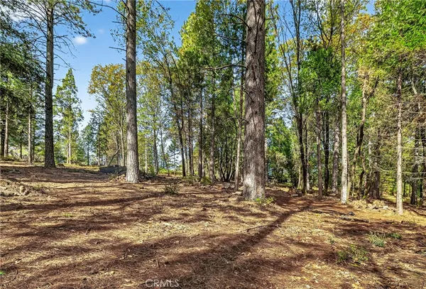 a view of outdoor space with trees