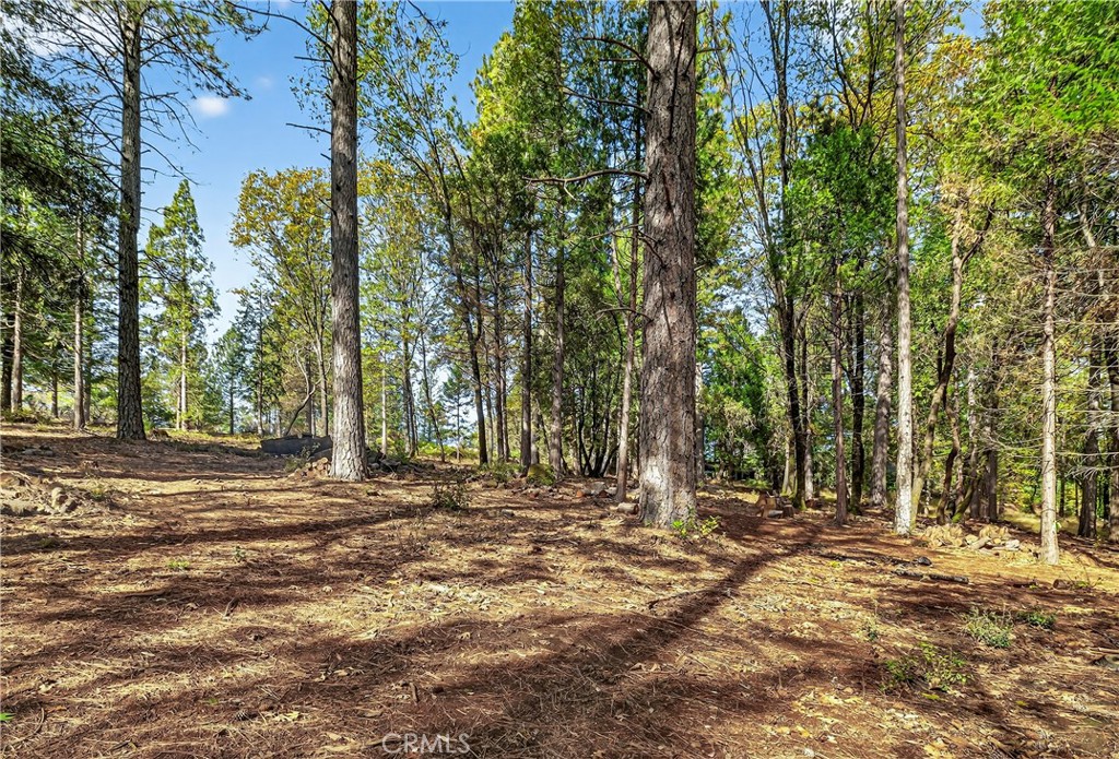 0 Cedar-Creek Creek Forest Ranch, CA 95942 - Photo 8 of 25 a view of outdoor space with trees