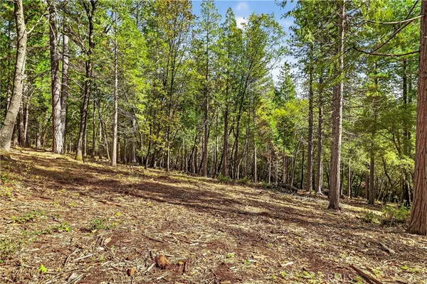 a view of outdoor space with trees