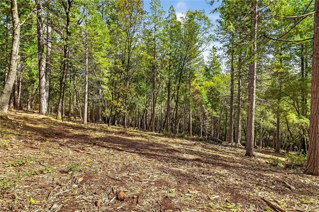 $125,000 | 0 Cedar-Creek Creek, Forest Ranch, CA 95942