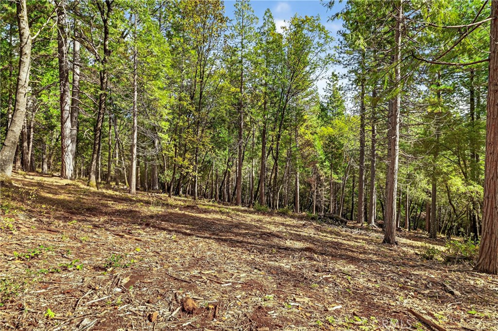 0 Cedar-Creek Creek Forest Ranch, CA 95942 - Photo 9 of 25 a view of outdoor space with trees