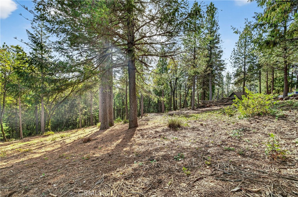 0 Cedar-Creek Creek Forest Ranch, CA 95942 - Photo 10 of 25 a view of a yard with plants and trees