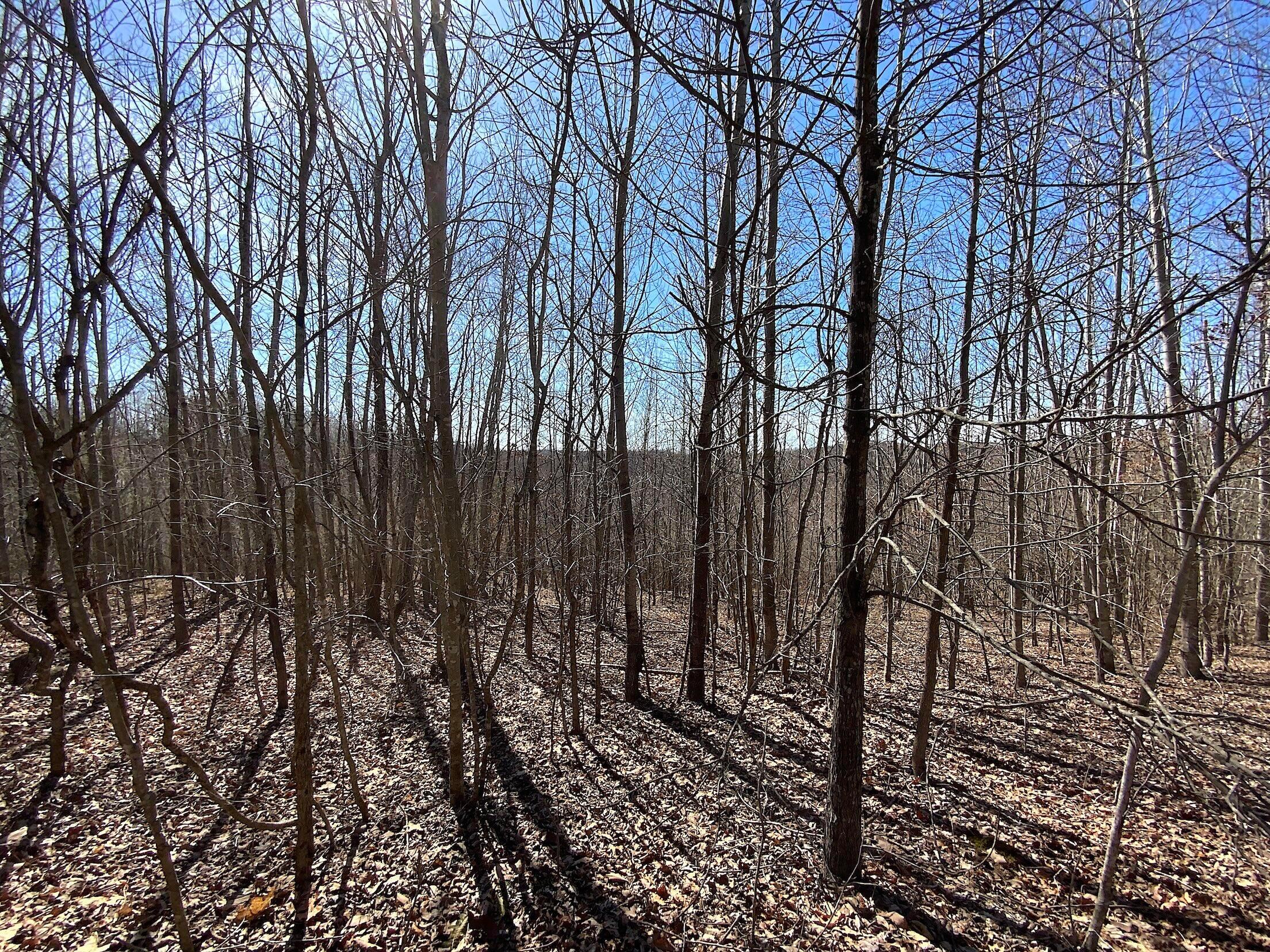 0 Kelly Road Ray, OH 45672 - Photo 4 of 46 Vinton County Kelly Rd 3