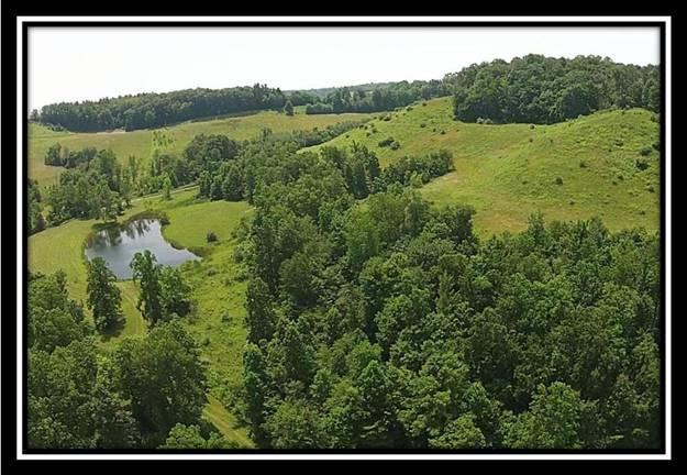 4185 Worthing Road Kimbolton, OH 43749 - Photo 1 of 10 Gallery Image 1