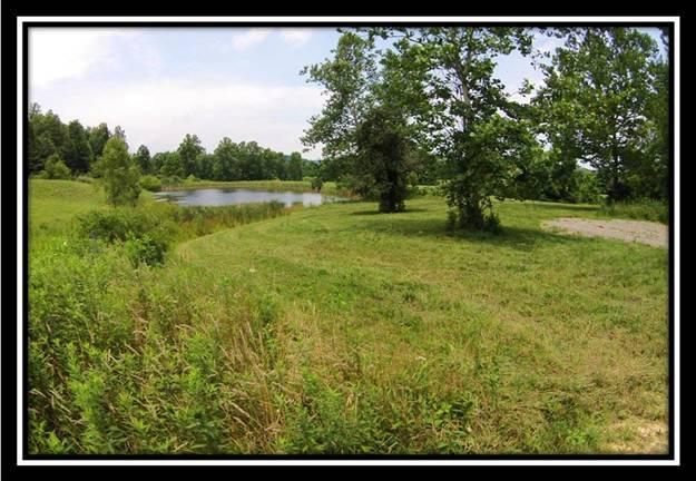 4185 Worthing Road Kimbolton, OH 43749 - Photo 4 of 10 Gallery Image 4