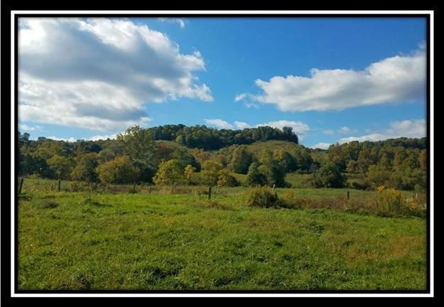 4185 Worthing Road Kimbolton, OH 43749 - Photo 7 of 10 Gallery Image 7