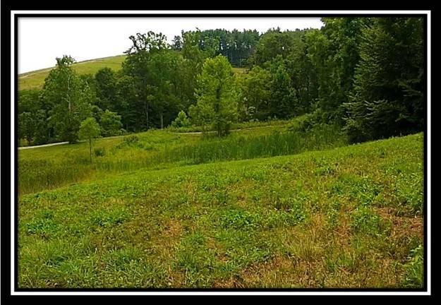 4185 Worthing Road Kimbolton, OH 43749 - Photo 9 of 10 Gallery Image 9