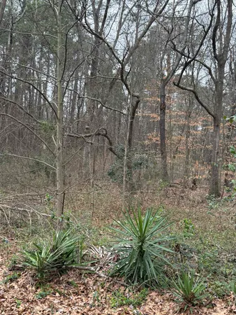 $52,500 | 0 Norwood Street, Pacolet, SC 29372