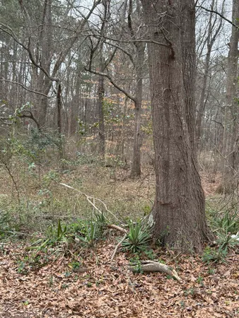 $52,500 | 0 Norwood Street, Pacolet, SC 29372