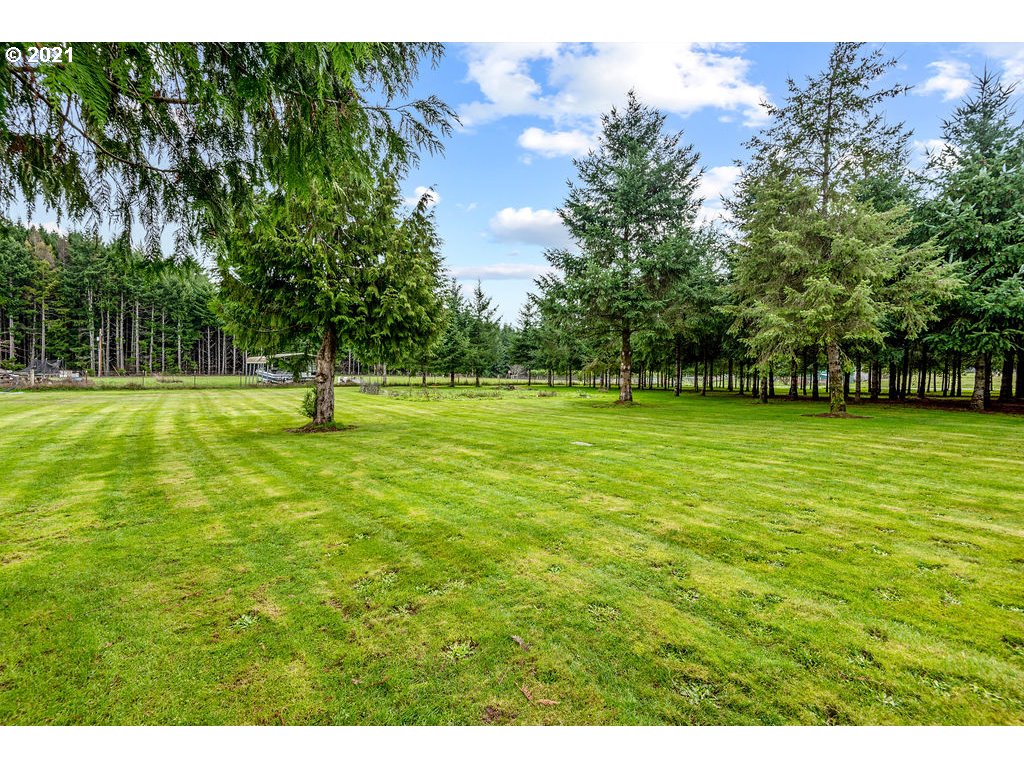 109 Highland Road Winlock, WA 98596 - Photo 11 of 28 a view of a field with a tree