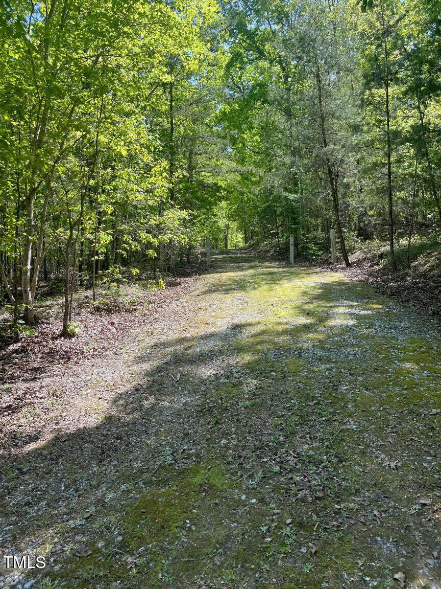 420 Buckhorn Ridge Road Mebane, NC 27302 - Photo 7 of 11 Alvarado.7