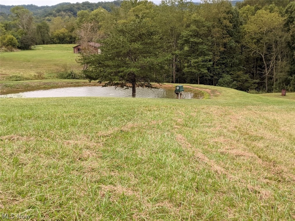 231 Ross Fork Road Alma, WV 26320 - Photo 5 of 21