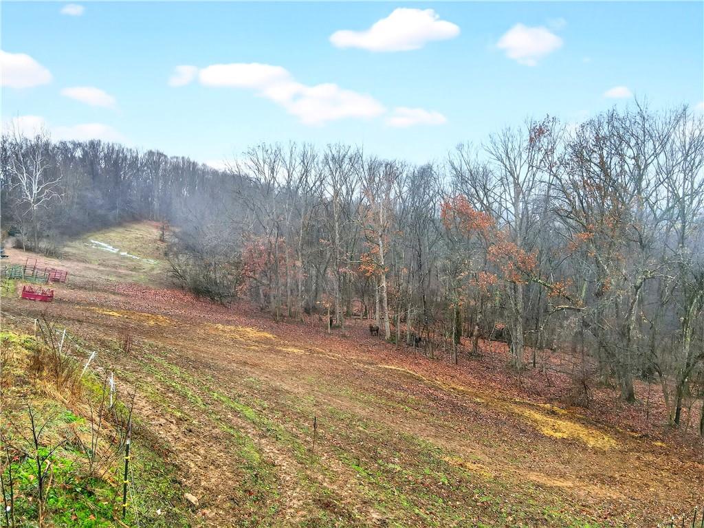 229 Tr780 Waynesburg, PA 15370 - Photo 46 of 50