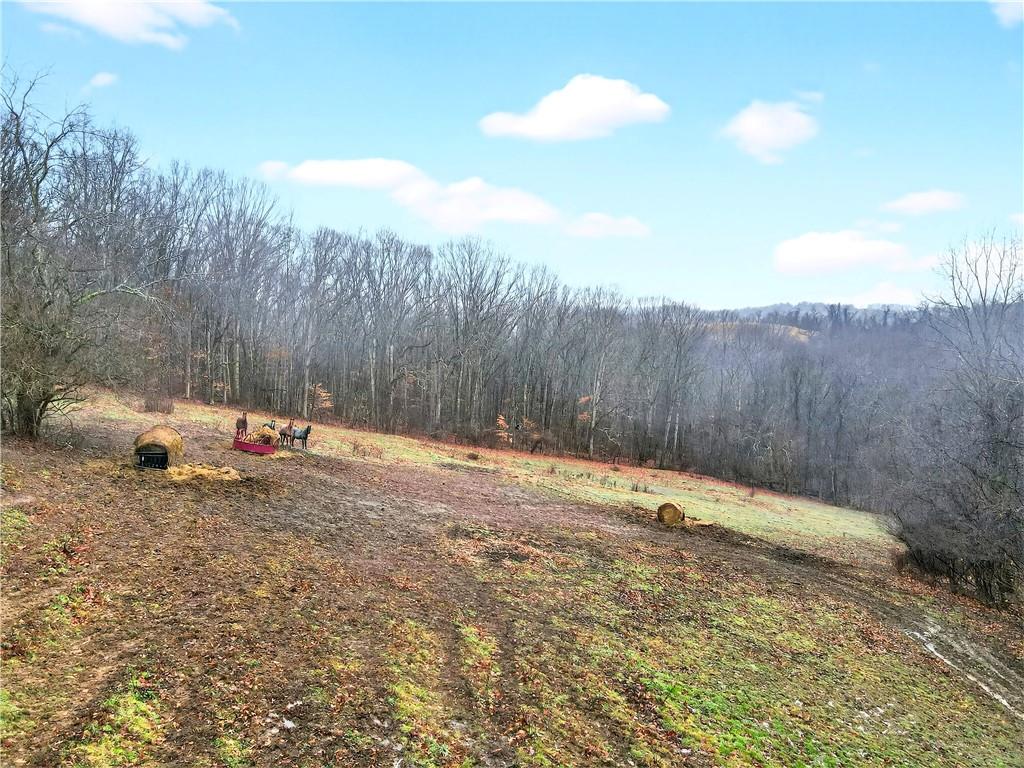 229 Tr780 Waynesburg, PA 15370 - Photo 47 of 50