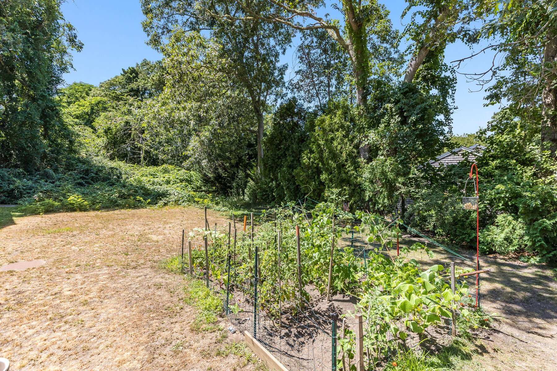 14 Old Tote Road Orleans, MA 02653 - Photo 6 of 26 598A1592