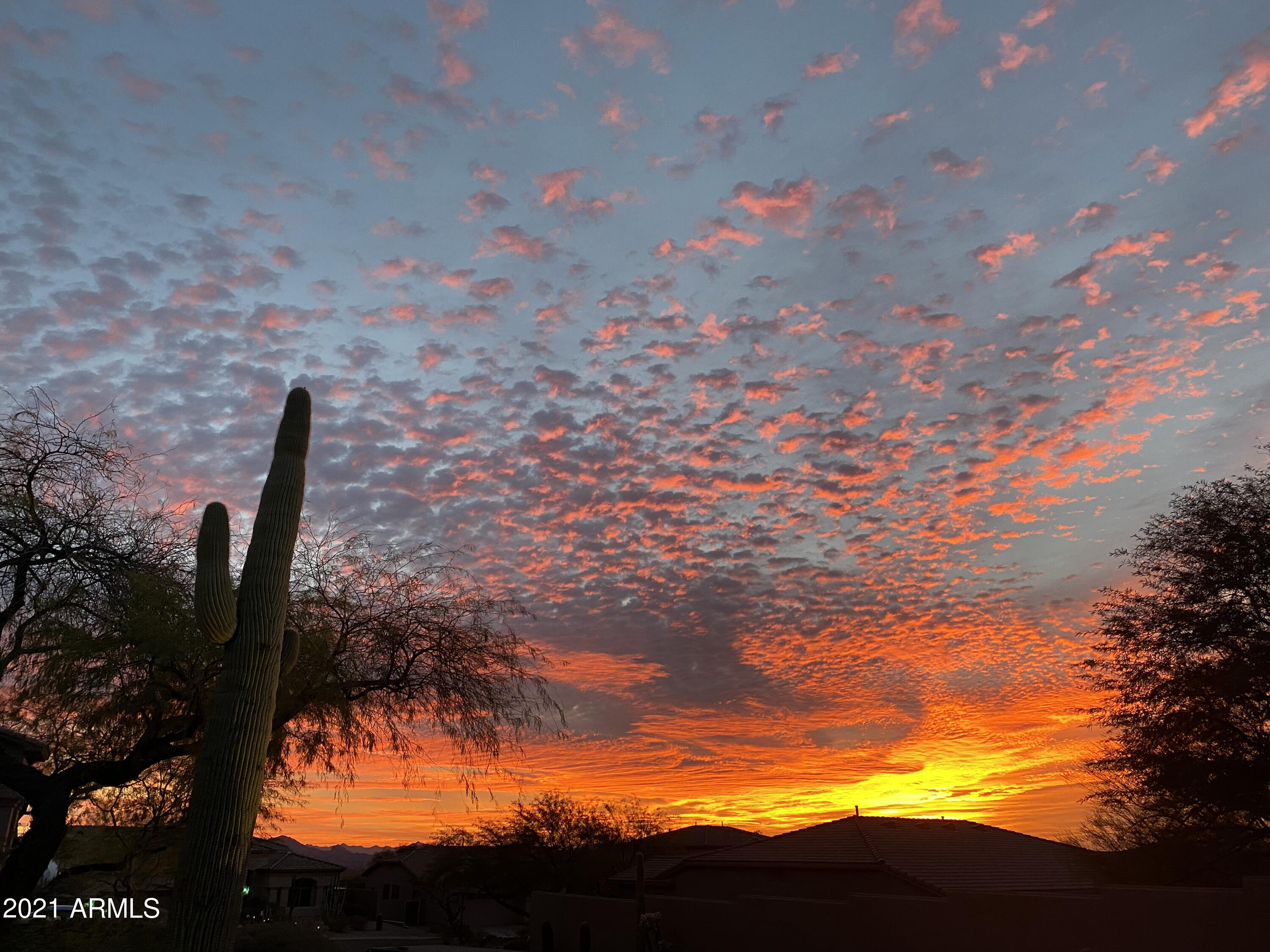 16715 North 108th Way Scottsdale, AZ 85255 - Photo 12 of 104 IMG_1494
