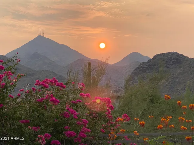 a view of a swimming pool and lounge chairs