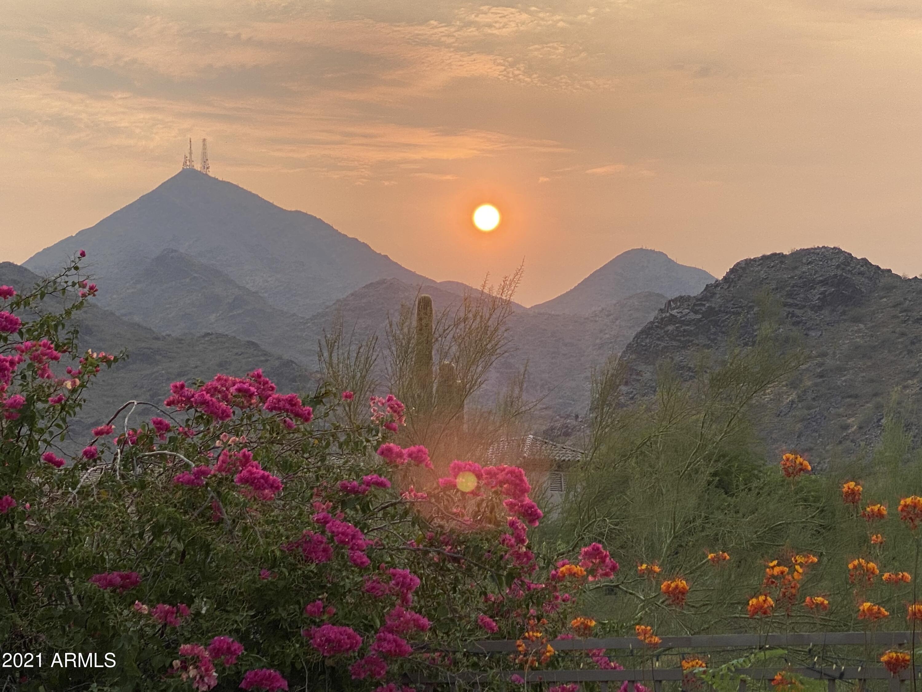 16715 North 108th Way Scottsdale, AZ 85255 - Photo 7 of 104 a view of a flower in a field