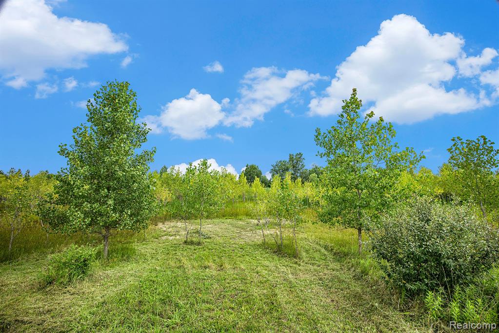 29988 Armada Ridge Road Richmond, MI 48062 - Photo 9 of 25