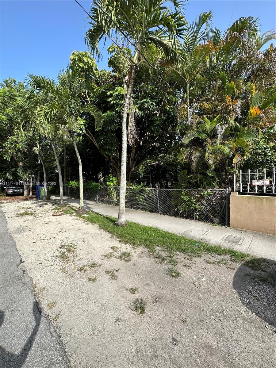2430 Southwest 25th Terrace, Unit A Miami, FL 33133 - Photo 13 of 19 a backyard of a house with large trees and plants