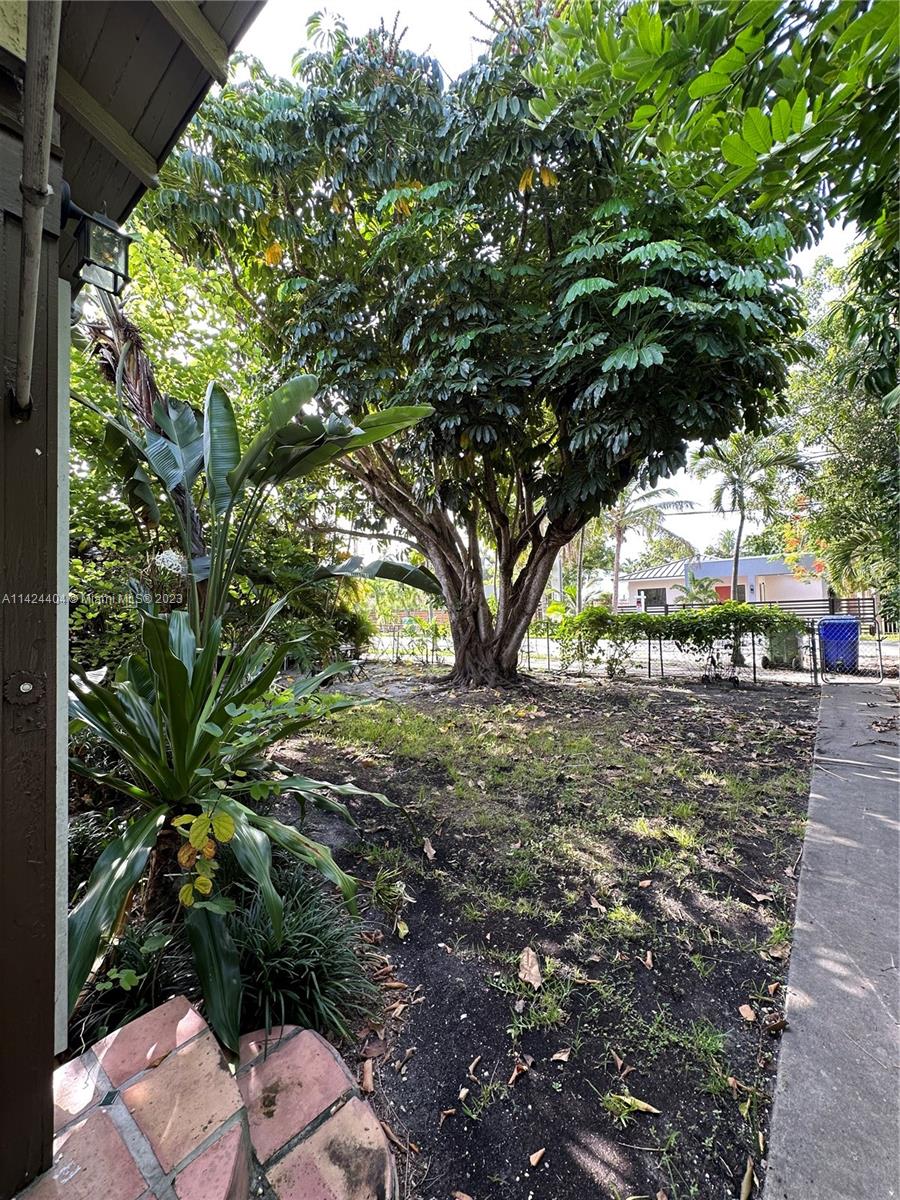 2430 Southwest 25th Terrace, Unit A Miami, FL 33133 - Photo 17 of 19 a backyard of a house with lots of green space