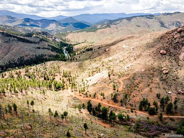 a view of a yard with plants and trees
