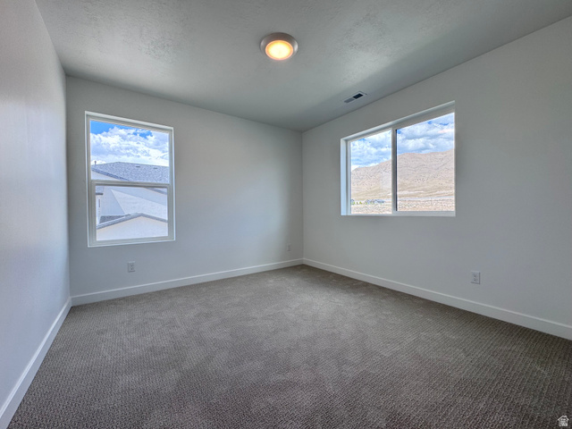 2633 Scarlet Road, Unit 259 Eagle Mountain, UT 84005 - Photo 24 of 30 Bright room featuring two windows, neutral carpeting, white walls, and a ceiling-mounted light fixture
