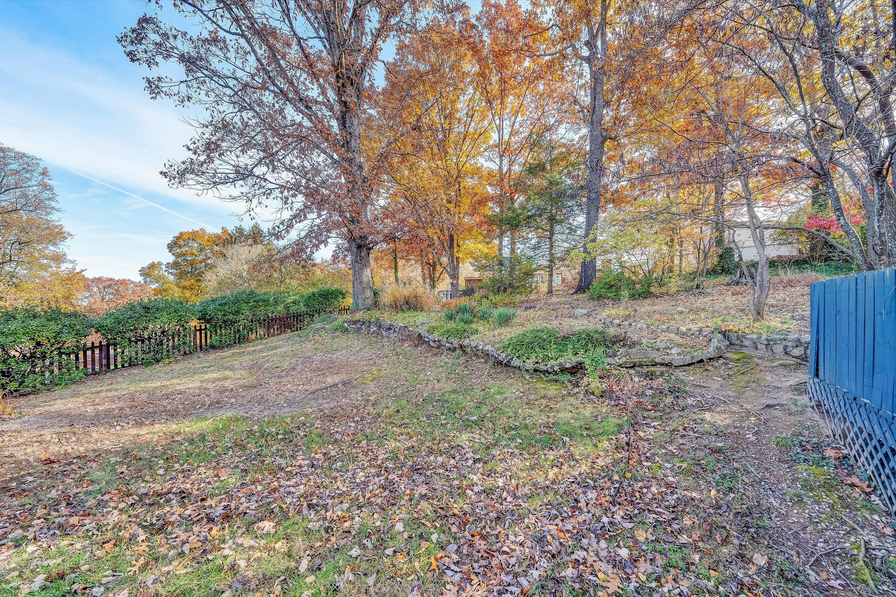 3536 Forester Road Southwest Roanoke, VA 24018 - Photo 21 of 26 a view of a yard with a tree