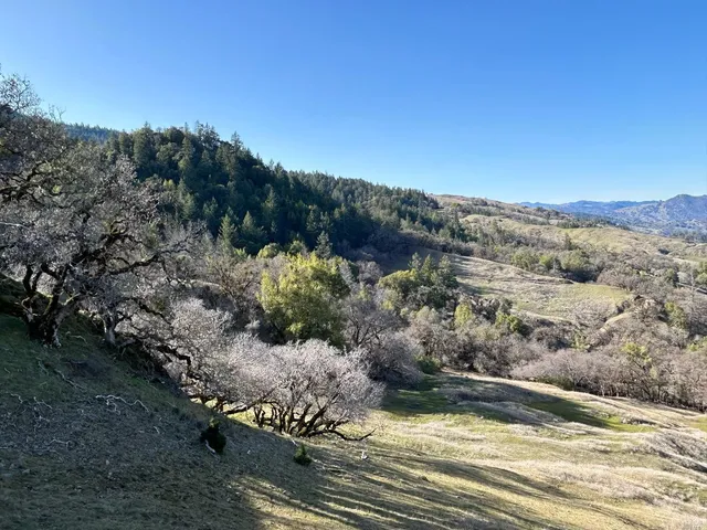 $375,000 | 1 Island Mountain Road, Garberville, CA 95542
